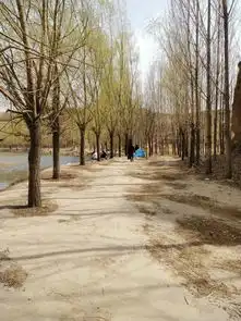  欢乐垂钓,狼狈归来