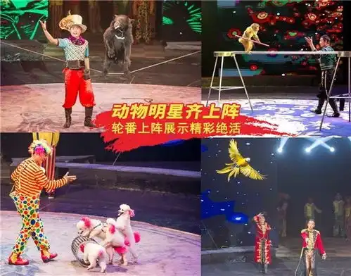  预售看马戏何必去长隆2019顶级马戏小丑嘉年华重磅来袭,精彩升级