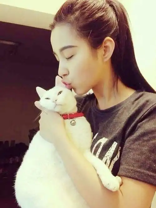  求这张图片里的十张小图的高清大图