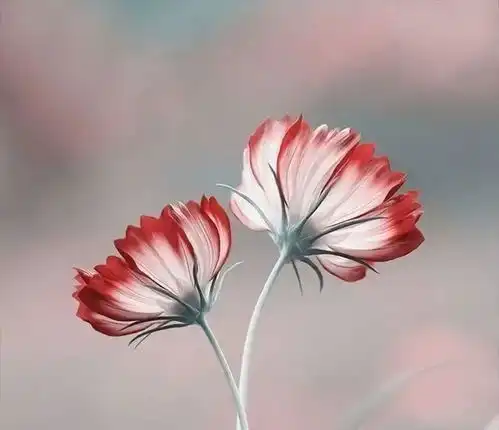  朋友圈简短的早安心语,经典励志,让你满血复活