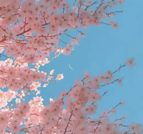  让人情不自禁的撩人情话