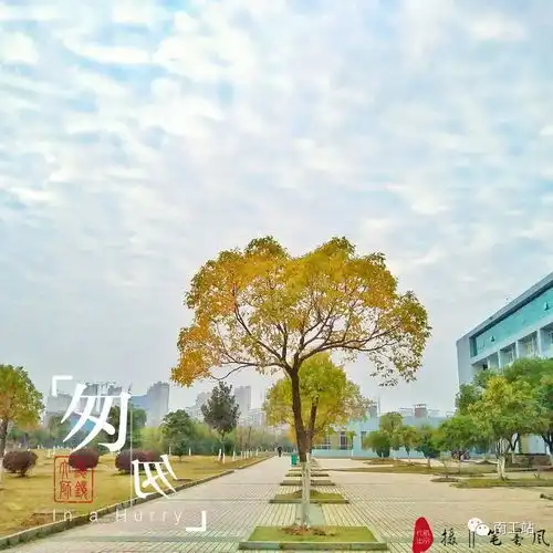  原创摄影南工美图,不要盗图哦