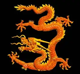  梦到龙预示着什么