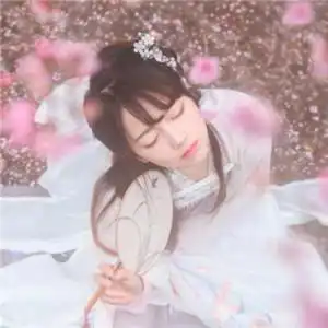 古风头像梧桐更兼细雨