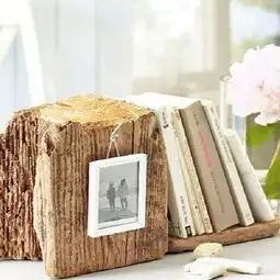  你相信吗朽木能雕刻枯木也能开花