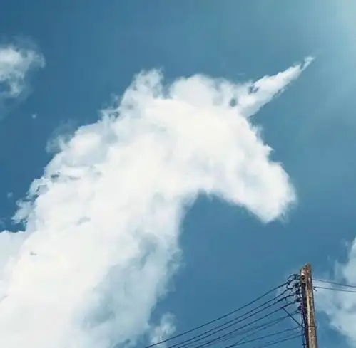  昕语你每天点开的第一个app是什么