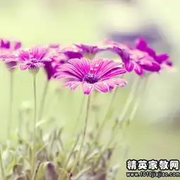  时光静好的唯美句子