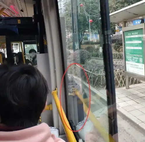 微信头像老人专用公交车