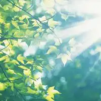  微笑向阳治愈系头像动漫治愈系微笑头像