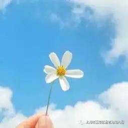  让校园管理更简单让家校沟通更有效钉钉使用心得交流