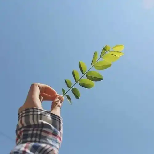  人不瞎想,心就不烦