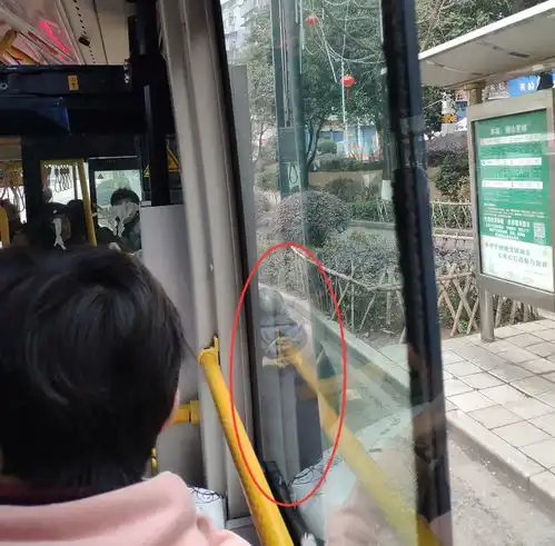  宜宾一公交车司机和老人杠上了,老人最终..