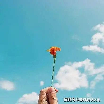 微信头像专用个性阳光放