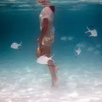  清新唯美女生头像灵魂伴侣
