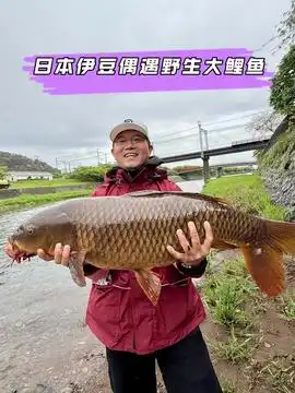  今天带老板娘出来钓鱼原来钓鱼才是抖音运动顶流dou是钓鱼人