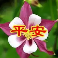 一生好运的微信头像康