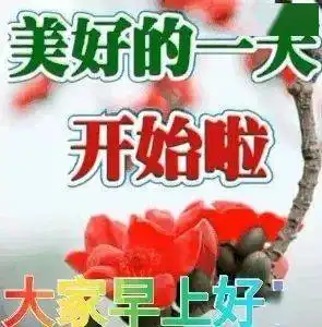  花开富贵早上好图片,大家早上好表情包,好人一生平安问候语