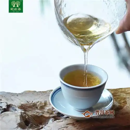 微信头像茶景图片大全