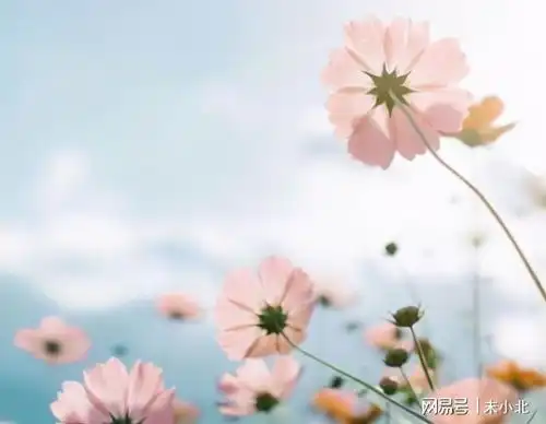  人若富有,必有征兆一个人,逐渐富有的6个征兆,你有几个