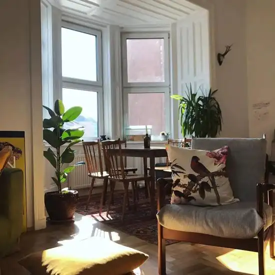  一个人住小公寓太美好独享阳光植物和一整墙的书