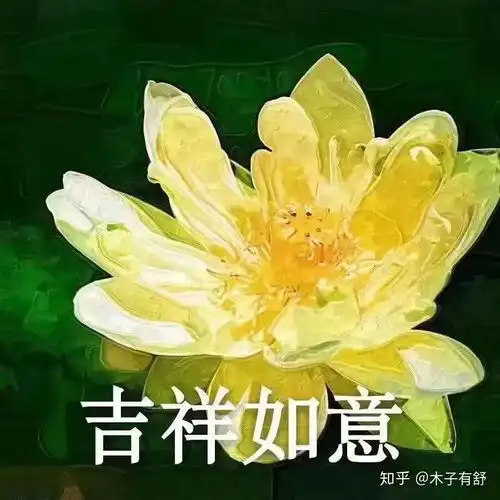  大学和室友三观不同,话不投机半句多,怎么办
