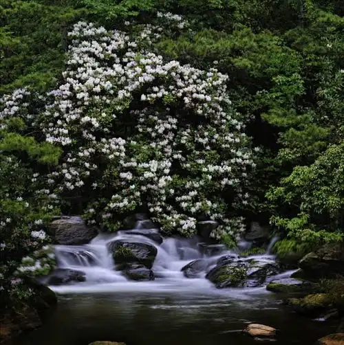  在松阳,旅行不将就