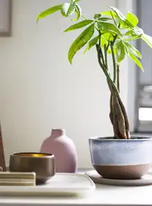  家居夏威夷风格别具一格的设计