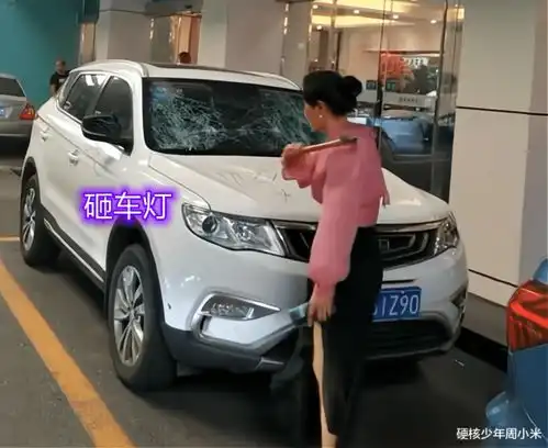  乱停车还不留电话,佛山一女子当街砸车,赔得起