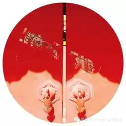  不负春光不负卿故宫一日游