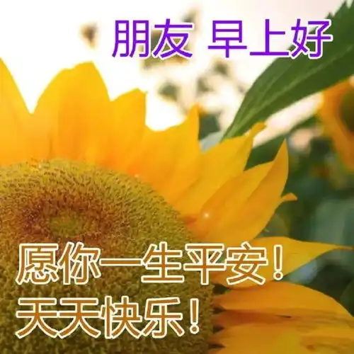 幸运草的头像带字图片可