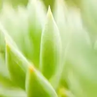  微博头像简约干净
