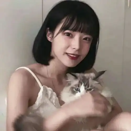  头像新找了一组好看的微信头像,试试吧