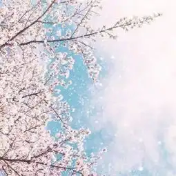  微信头像微信最吉利的头像风景图片
