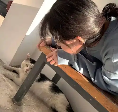  ins不太明显的情头
