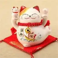  属猪微信好运吉祥招财头像微信头像图片大全