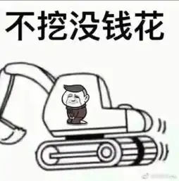  挖机无罪,司机万岁钩机生涯