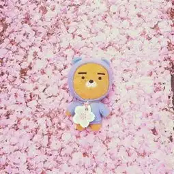  书法舒意求职简历