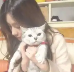 猫咪头像女生