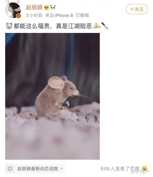  为什么最近有越来越多类似小丑竟是我自己这样的自嘲梗出现丧文化依旧还流行着吗
