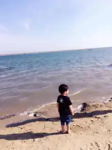  上海奉贤碧海金沙