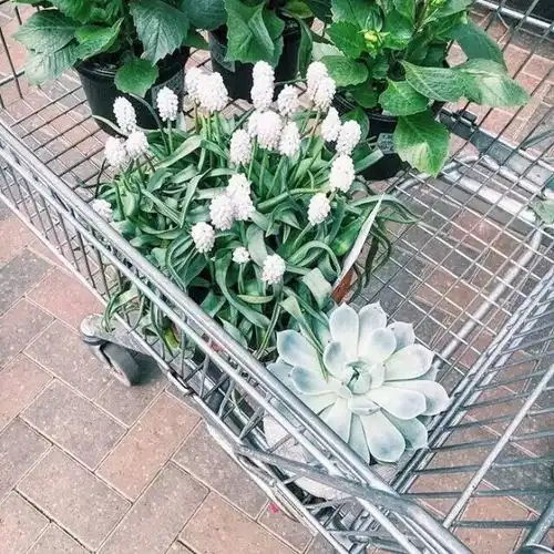  你过得好不好,看你的微信头像就知道