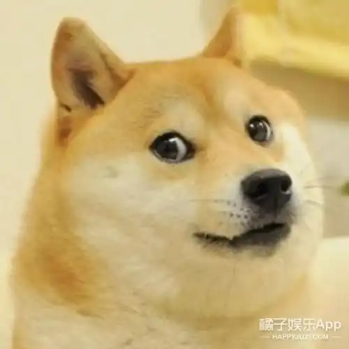  极限挑战金星秀将停播那以后吃饭看什么