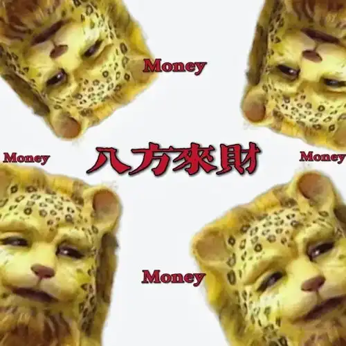  热门金钱豹合集