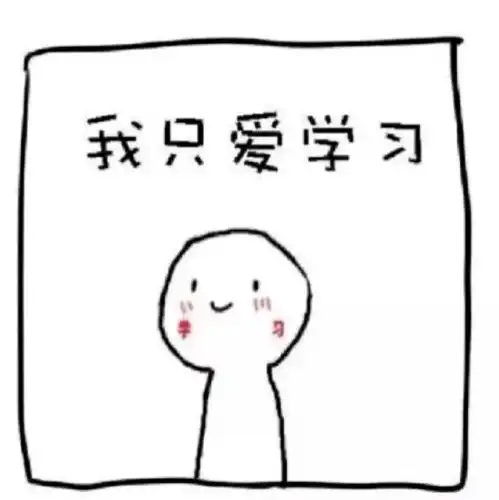  五一计划大赏