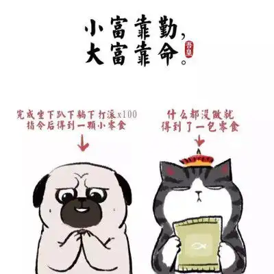 小希头像吾皇万岁万万岁