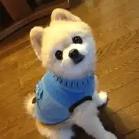  好看的微信头像