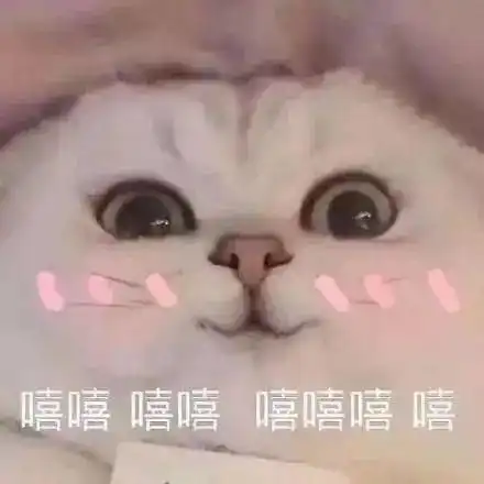 2021年最佳女友标准出炉