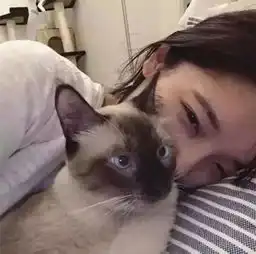  头像篇青春期的脆弱敏感像是温暖潮湿的土壤
