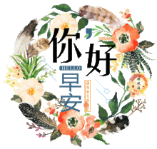 2019新版微信头像花朵新