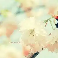  有意义的花做头像微信头像图片大全
